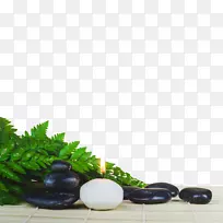 SPA-������������-������