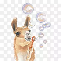 ÃÀÖÞÍÕË®²Ê»»æ»ÒÕÊõ-¿ÕÈôÍø ÃÀÖÞÍÕË®²Ê»»æ»ÒÕÊõ-¿ÕÈôÍø