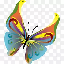 帝王蝴蝶昆虫剪贴画-鸽子图片材料蝴蝶-空若网 帝王蝴蝶昆虫剪贴画-鸽子图片材料蝴蝶-空若网