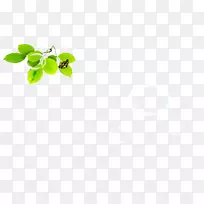 ��Ҷ��-������