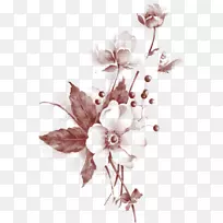 ������ƻ����䷽���հײ��ס���ʳ��ʢ�磺Ұ��ָ�Ϻ�Ұ��ʳƷ����顢ֽ����-������