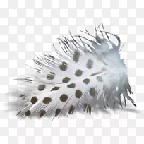 ��ë�����޼�׵������ë-������