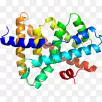 人体珠宝线剪贴画线-空若网 人体珠宝线剪贴画线-空若网