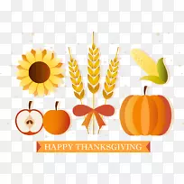 卡巴扎奥格里斯小麦-空若网 卡巴扎奥格里斯小麦-空若网