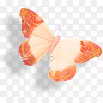 蝴蝶蛾昆虫剪贴画-蝴蝶-空若网 蝴蝶蛾昆虫剪贴画-蝴蝶-空若网