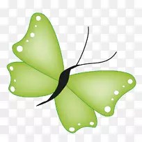 帝王蝴蝶电子邮件签名块剪辑艺术-电子邮件-空若网 帝王蝴蝶电子邮件签名块剪辑艺术-电子邮件-空若网