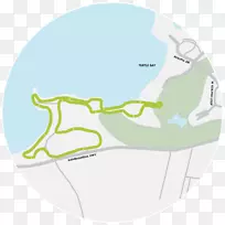 动物设计-空若网 动物设计-空若网