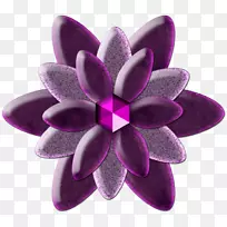 �����ֽchomikuj.pl������-������