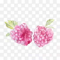 红色覆盆子水彩画-草莓-空若网 红色覆盆子水彩画-草莓-空若网