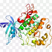无脊椎动物食物线剪贴画线-空若网 无脊椎动物食物线剪贴画线-空若网