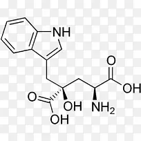 ��������װ�����ʳ����������������-���ǻ���-������