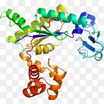人体首饰有机体线剪贴画线-空若网 人体首饰有机体线剪贴画线-空若网