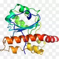 人体首饰有机体线剪贴画线-空若网 人体首饰有机体线剪贴画线-空若网