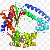 人体珠宝有机体剪贴画.珠宝-空若网 人体珠宝有机体剪贴画.珠宝-空若网