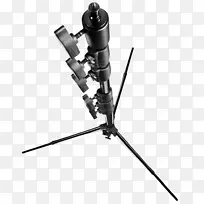 Amazon.com������ż������������Ӱ���-������