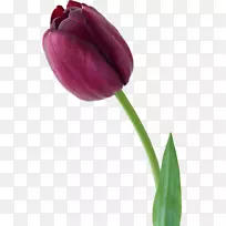 �����㻨������-������-������