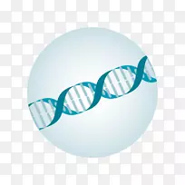 护目镜太阳镜-dna基因-空若网 护目镜太阳镜-dna基因-空若网