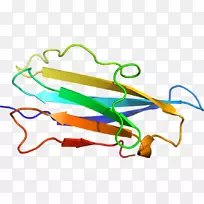 �ߵ������-��-������