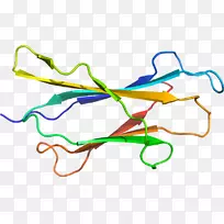 �ߵ������-��-������