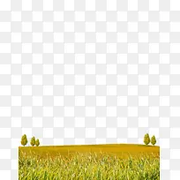 ��ƺ����-�����������-������