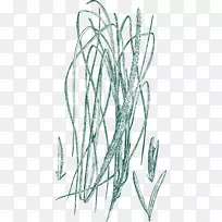 软件rgb颜色模型.手绘艺术品草-空若网 软件rgb颜色模型.手绘艺术品草-空若网