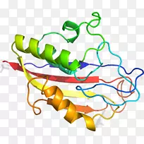 线点生物剪贴画线-空若网 线点生物剪贴画线-空若网