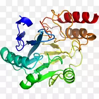 �ߵ������������-������