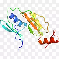 �ߵ������������-������