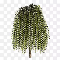 ��-��-������