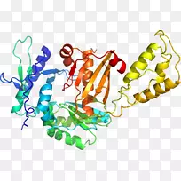 人体首饰有机体线剪贴画线-空若网 人体首饰有机体线剪贴画线-空若网