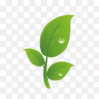 黑安卓剪贴画-新鲜白茶载体材料-空若网 黑安卓剪贴画-新鲜白茶载体材料-空若网