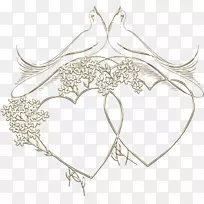 �������ζԳư���-������