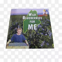 树谷歌游戏树-空若网 树谷歌游戏树-空若网