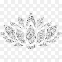 Nelumbo nucifera埃及荷花剪贴画-空若网 Nelumbo nucifera埃及荷花剪贴画-空若网