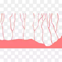 关节点角h&m角-空若网 关节点角h&m角-空若网