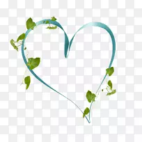 Ҷ�������飬ֲ�ﾥ����-Ҷ-������