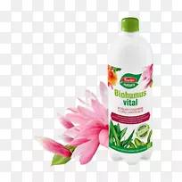 ����ֲ�������ʯ�л���naw��z��Ȼ����-������