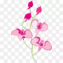 兰花动画剪辑艺术花卉图案-空若网 兰花动画剪辑艺术花卉图案-空若网