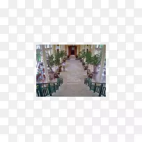 财产树走道树-空若网 财产树走道树-空若网