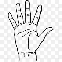 �ֻ���ɫ-������