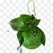 圣诞装饰植物-圣诞节-空若网 圣诞装饰植物-圣诞节-空若网