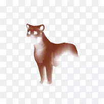 胡须猫狗鼻子犬科猫-空若网 胡须猫狗鼻子犬科猫-空若网