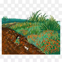 卡通动画绘图-卡通野草-空若网 卡通动画绘图-卡通野草-空若网