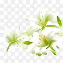 莉莉下载卡通-手绘百合-空若网 莉莉下载卡通-手绘百合-空若网