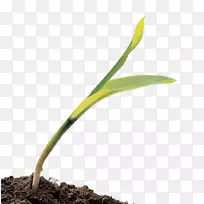 ºÌ±¾¿ÆÉÌÆ·Ö²Îï¾¥-¿ÕÈôÍø ºÌ±¾¿ÆÉÌÆ·Ö²Îï¾¥-¿ÕÈôÍø