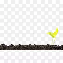 ����ֲ����-������