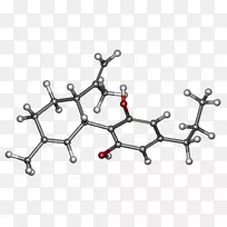 汽车线角车身首饰.汽车-空若网 汽车线角车身首饰.汽车-空若网