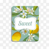 柠檬插图-新鲜柠檬背景-空若网 柠檬插图-新鲜柠檬背景-空若网