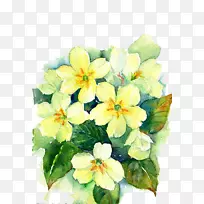 �������ˮ�ʻ�ˮ�ʣ�ˮ�ʻ�-������