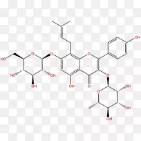 ��ѧ������ֲ�ﻯѧ�����о�-��ѧ-������